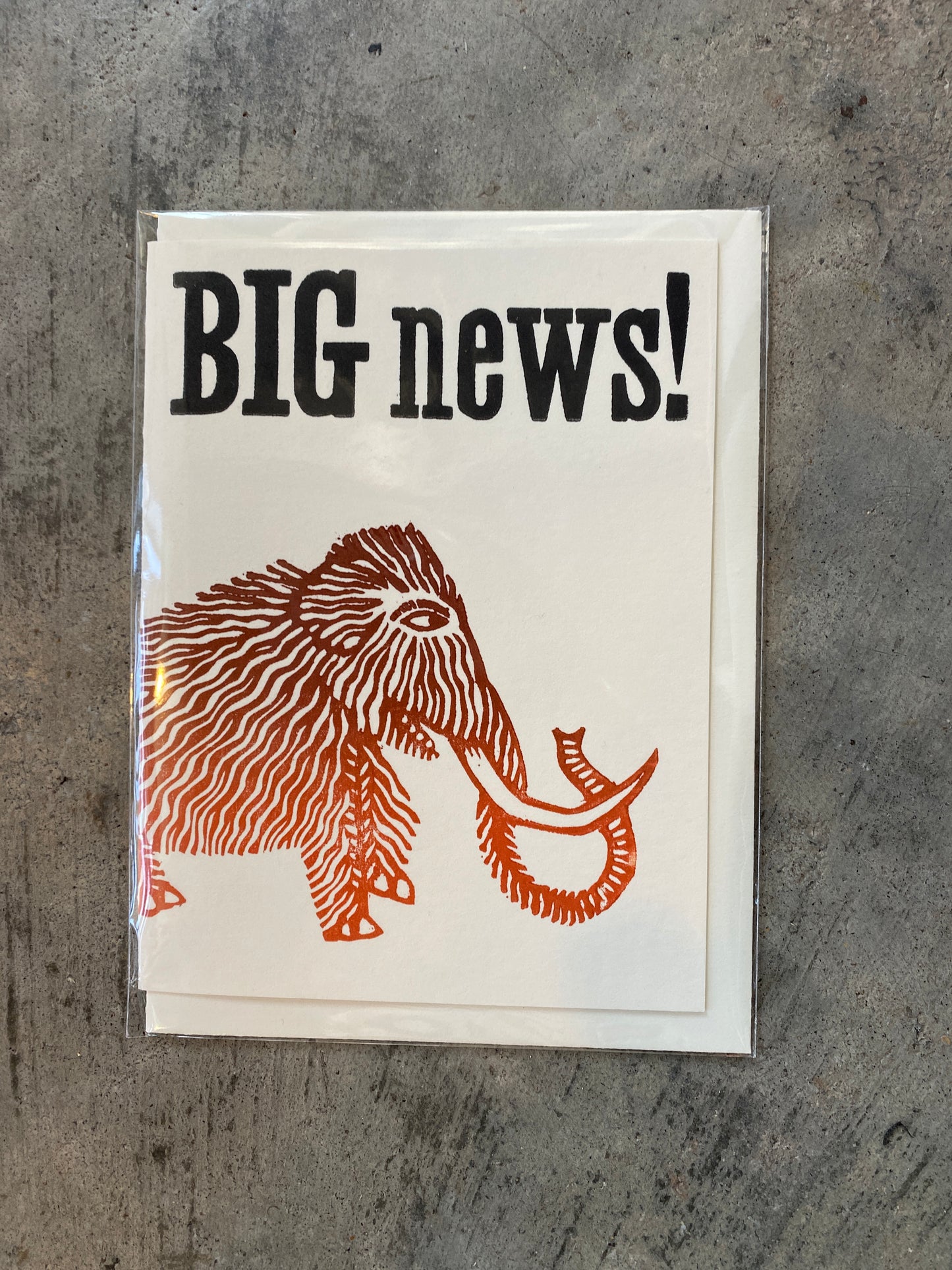 BIG news! (Mammoth)