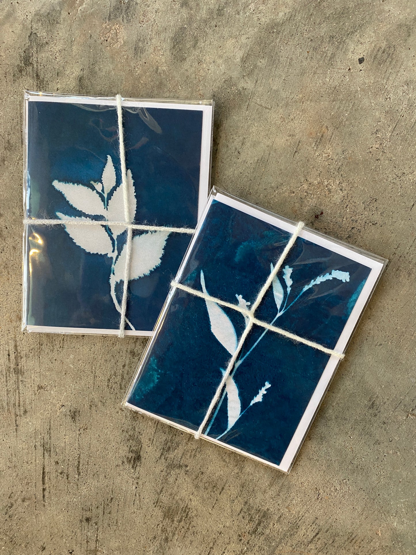 Cyanotypes Greeting Cards Pack (set/2 designs)