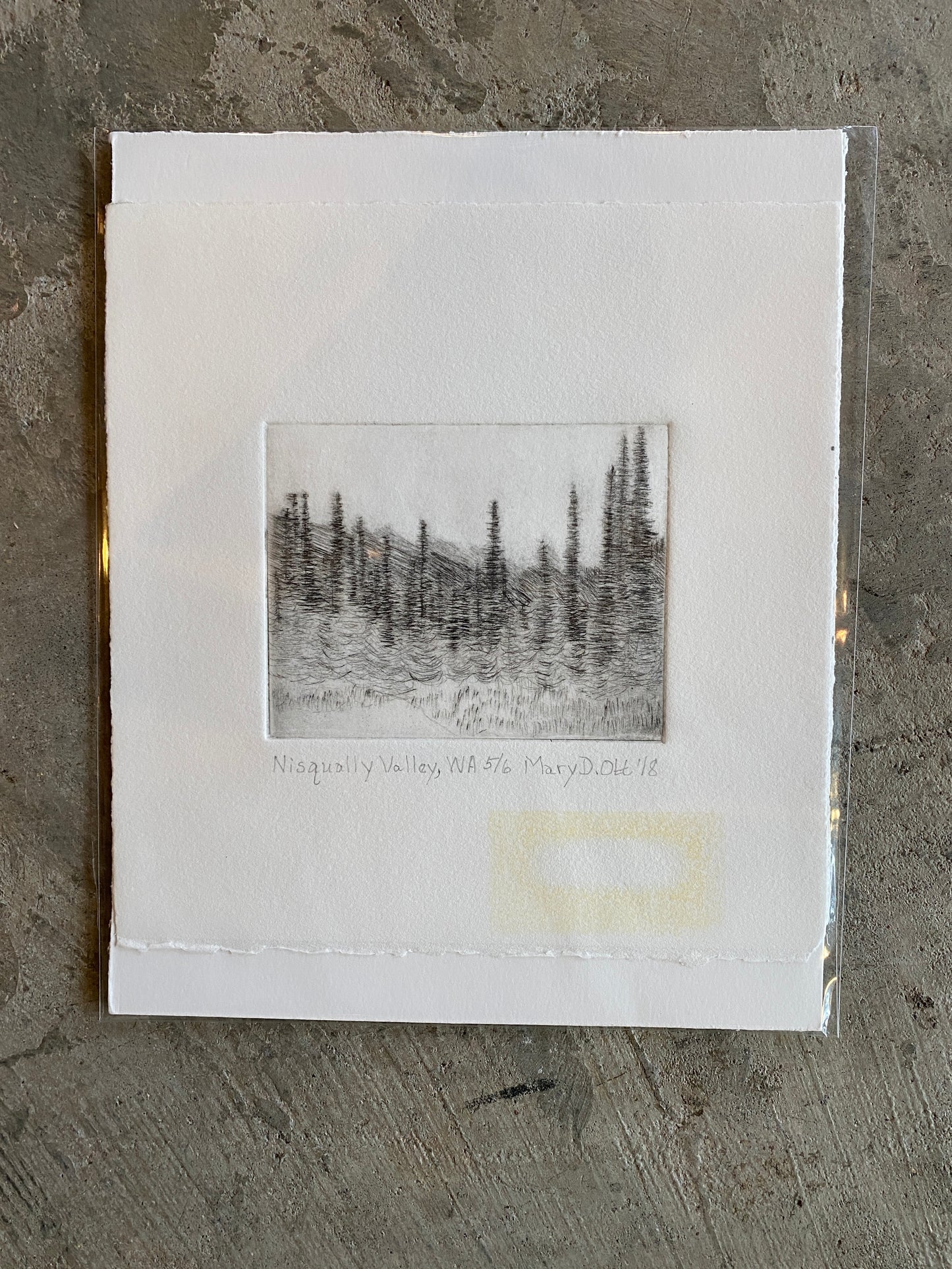 Nisqually Valley, WA