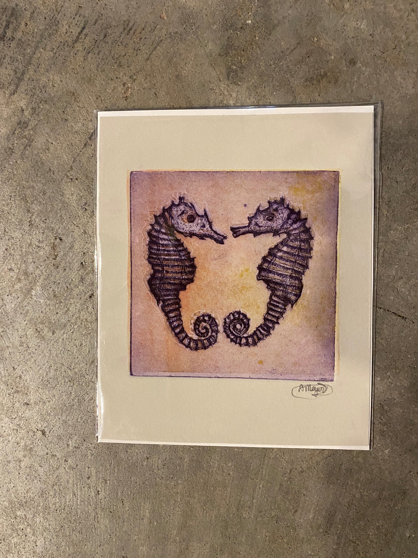 Seahorses
