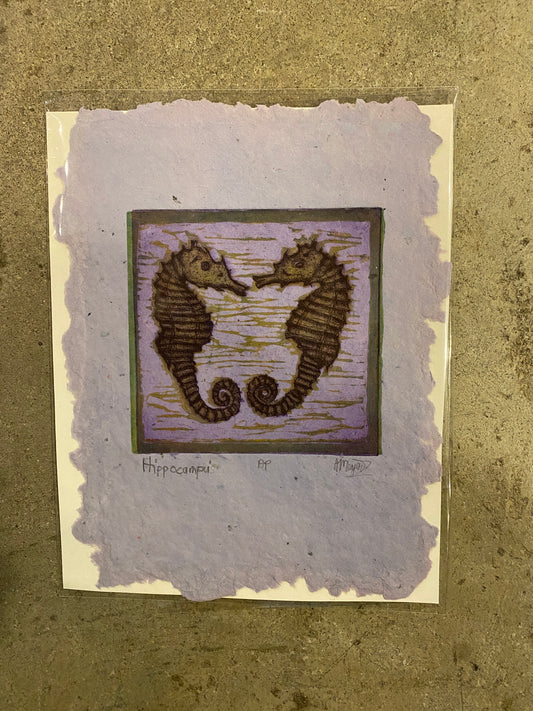 Hippocampi Seahorses