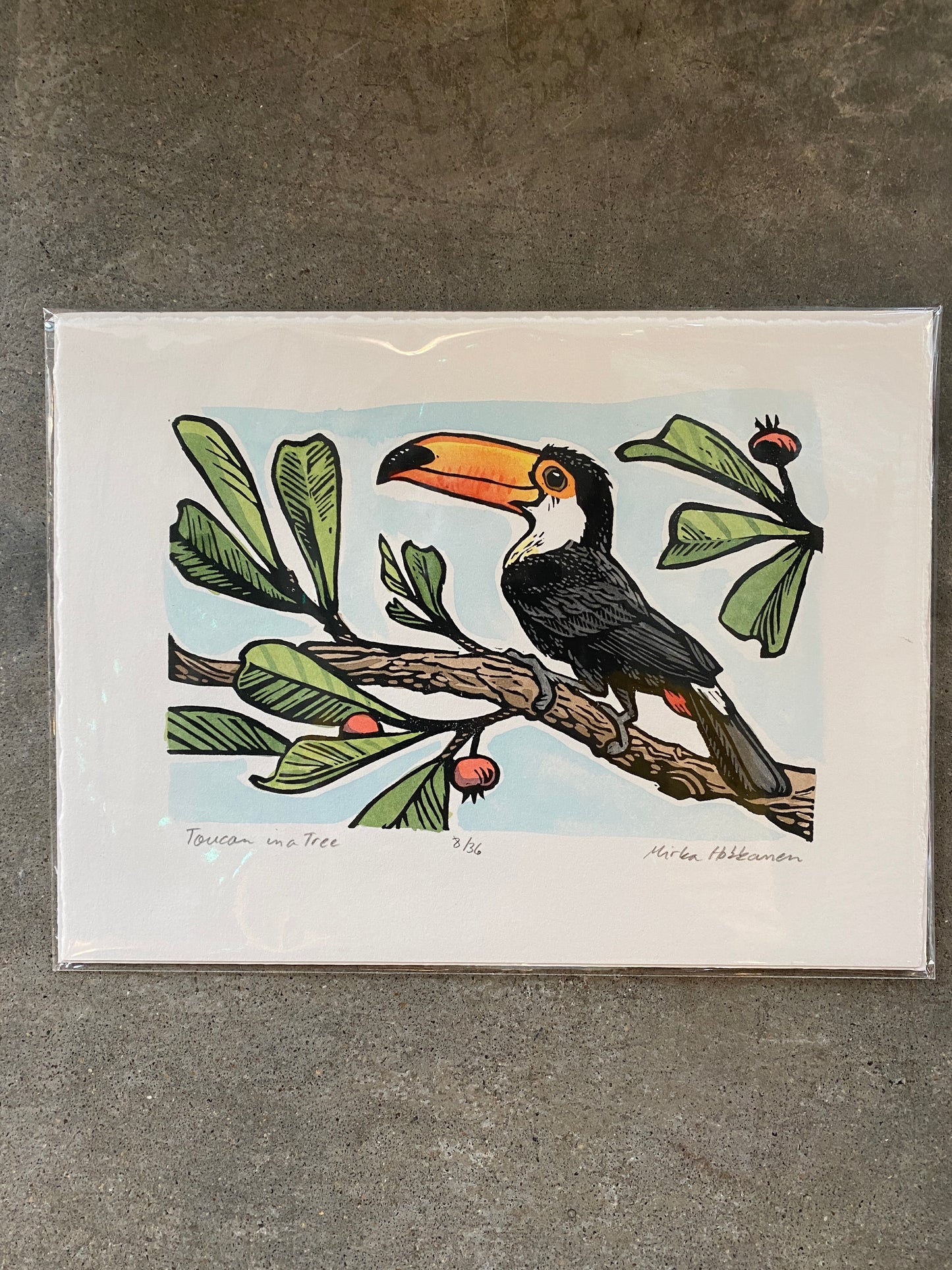 Toucan in a Tree