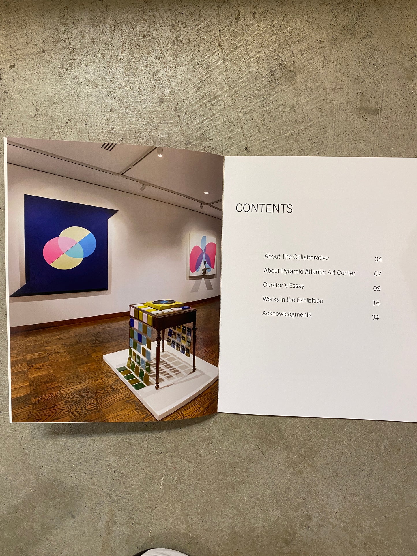 Imar Lyman Echo/Location: Exploring the Extra-Sensory Exhibition Catalog