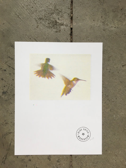 CYM Hummingbirds Risograph Print