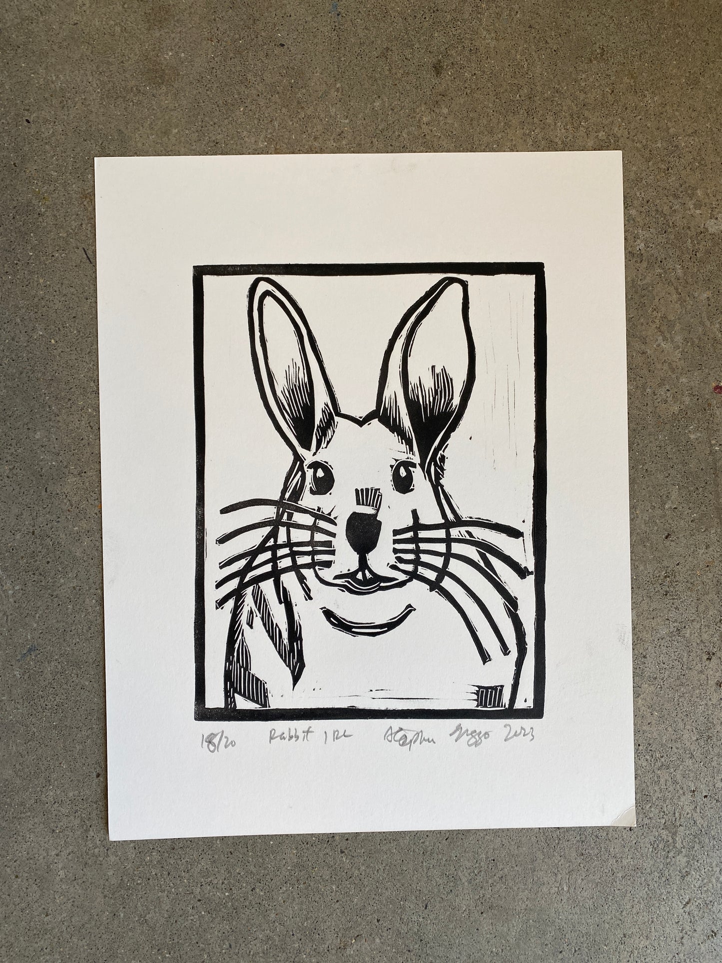 Rabbit IRL