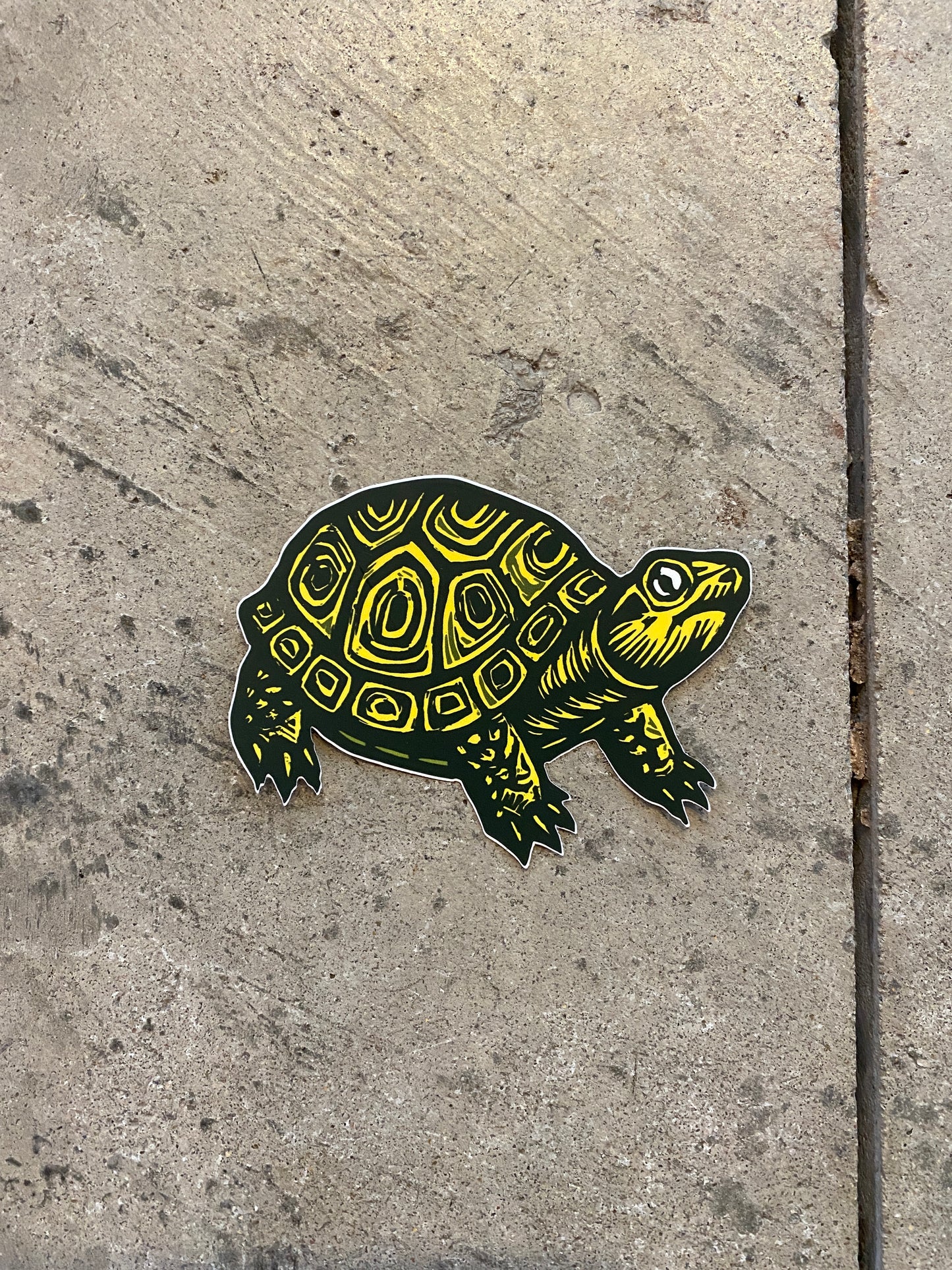 Turtle Sticker