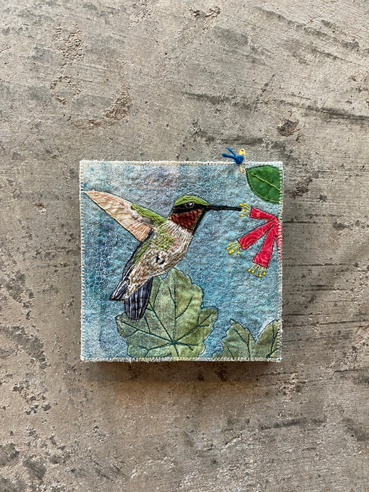 Urban Birds- Ruby throated Hummingbird