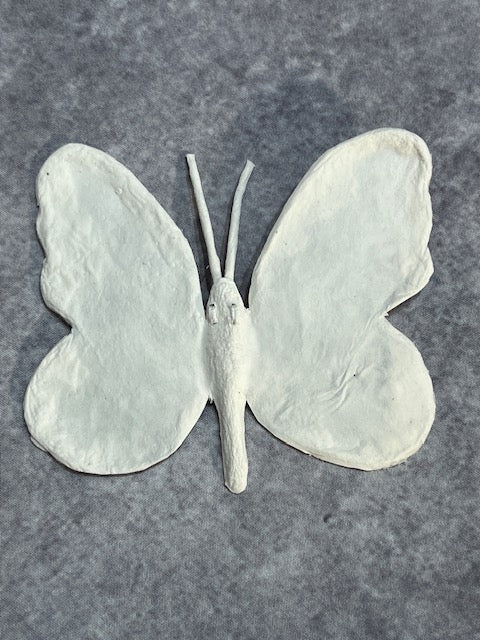 Before They Fade Into Memory by June Linowitz