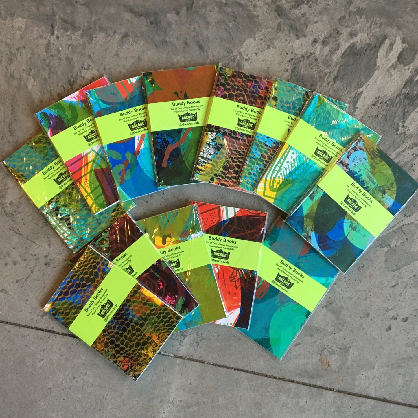 Large Buddy Books (styles and colors vary)