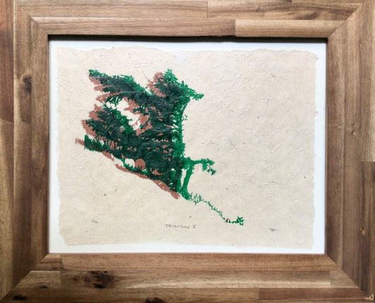 Trinidad V by James E. Modrick
